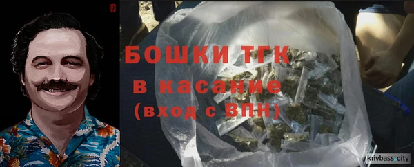 сатива Заводоуковск