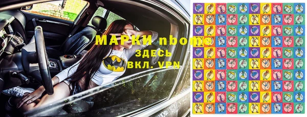 сатива Заводоуковск