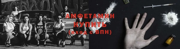 сатива Заводоуковск