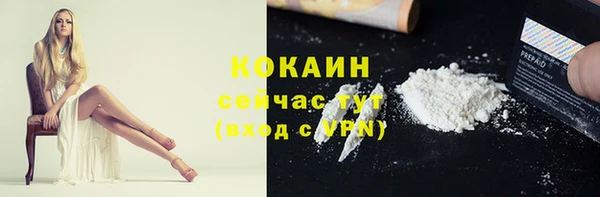 сатива Заводоуковск
