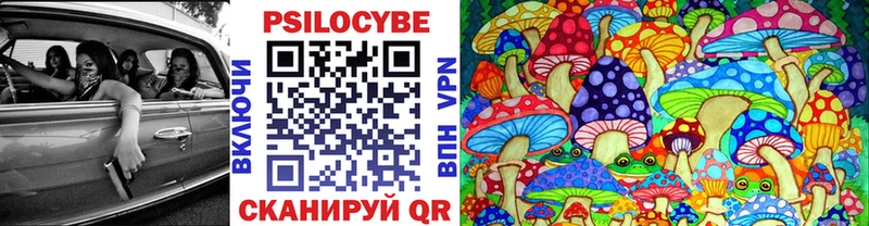 Псилоцибиновые грибы мухоморы блэк спрут ссылки Змеиногорск где можно купить наркотик